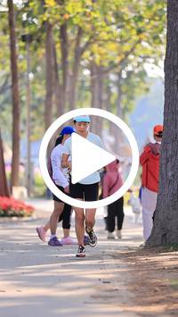 BIB:  <button type="button" onclick="openModal(27608638)" class="btn btn-primary btn-sm float-right" data-toggle="modal" data-target=".modal-high-quality">
                <i class="fa fa-download"></i> Download
                </button>